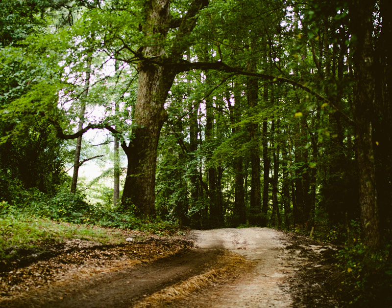 一手货源的ddos攻击测试工具
